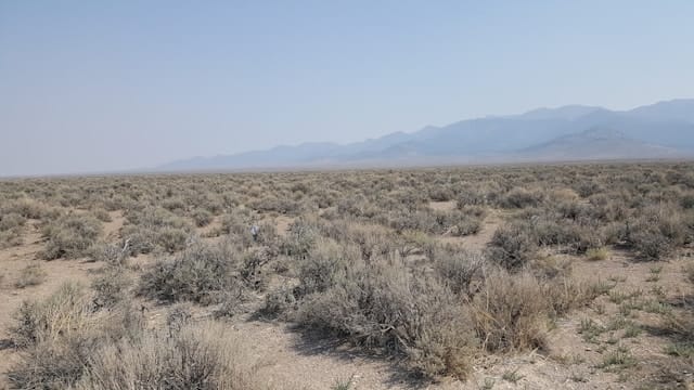 Thacker Pass